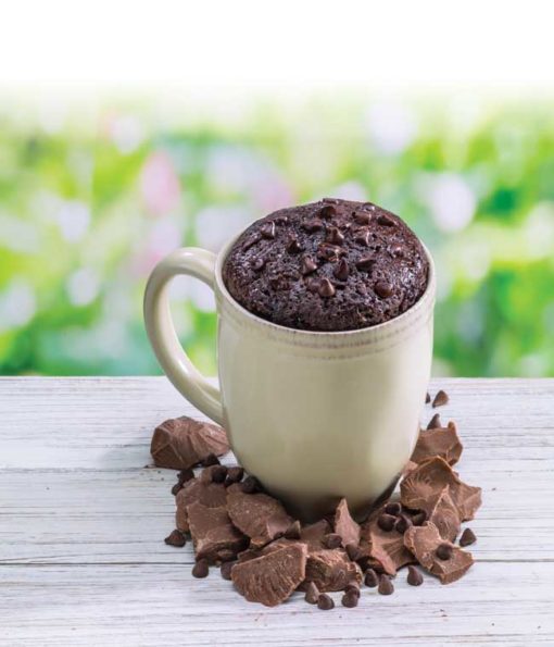 Single Serving Mug Cakes